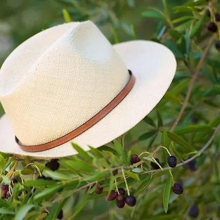 2 Pieces A Frejus, Proche - Fr-1-226a-199 Daire